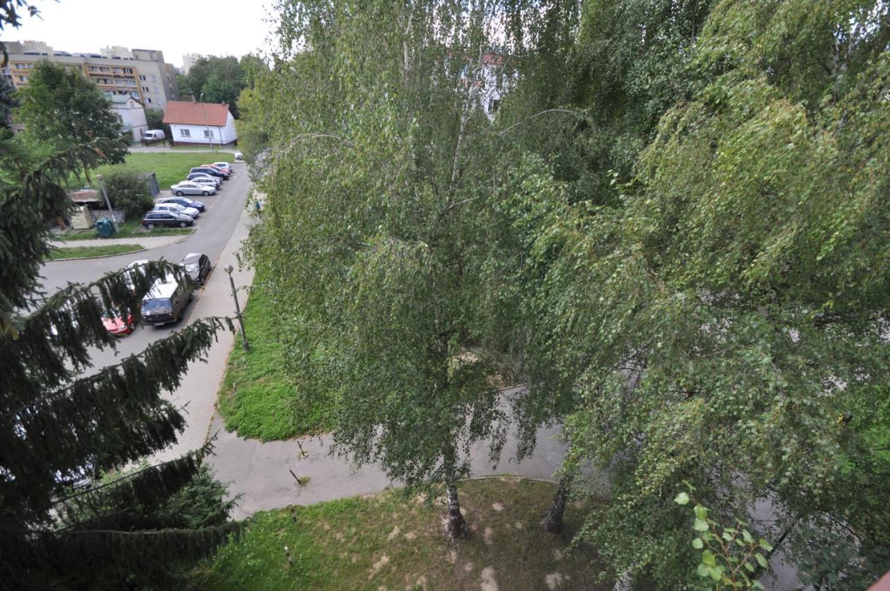 Joapart - Cichy 3-pokojowy Apartament W Zielonej Okolicy Apartment *